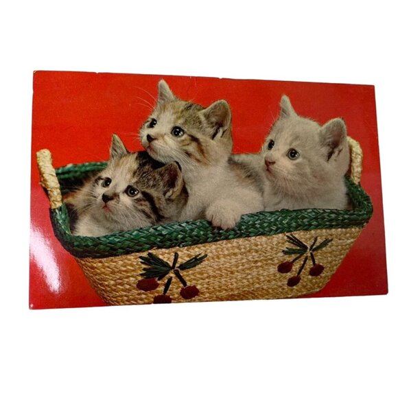 Vintage Lusterchrome Postcard Kittens in Basket Camp Wonderland Collectible u - Picture 1 of 3